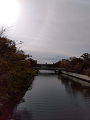 IMG_2025-01-05-11-02-57-858_thumb.png