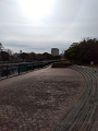 IMG_2025-01-05-11-06-16-421_thumb.png