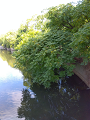 IMG_2025-09-12-09-11-55-601_thumb.png