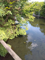 IMG_2025-09-12-09-13-14-855_thumb.png