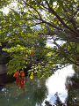 IMG_2025-09-12-09-18-55-249_thumb.png