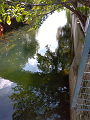 IMG_2025-09-12-09-19-30-451_thumb.png