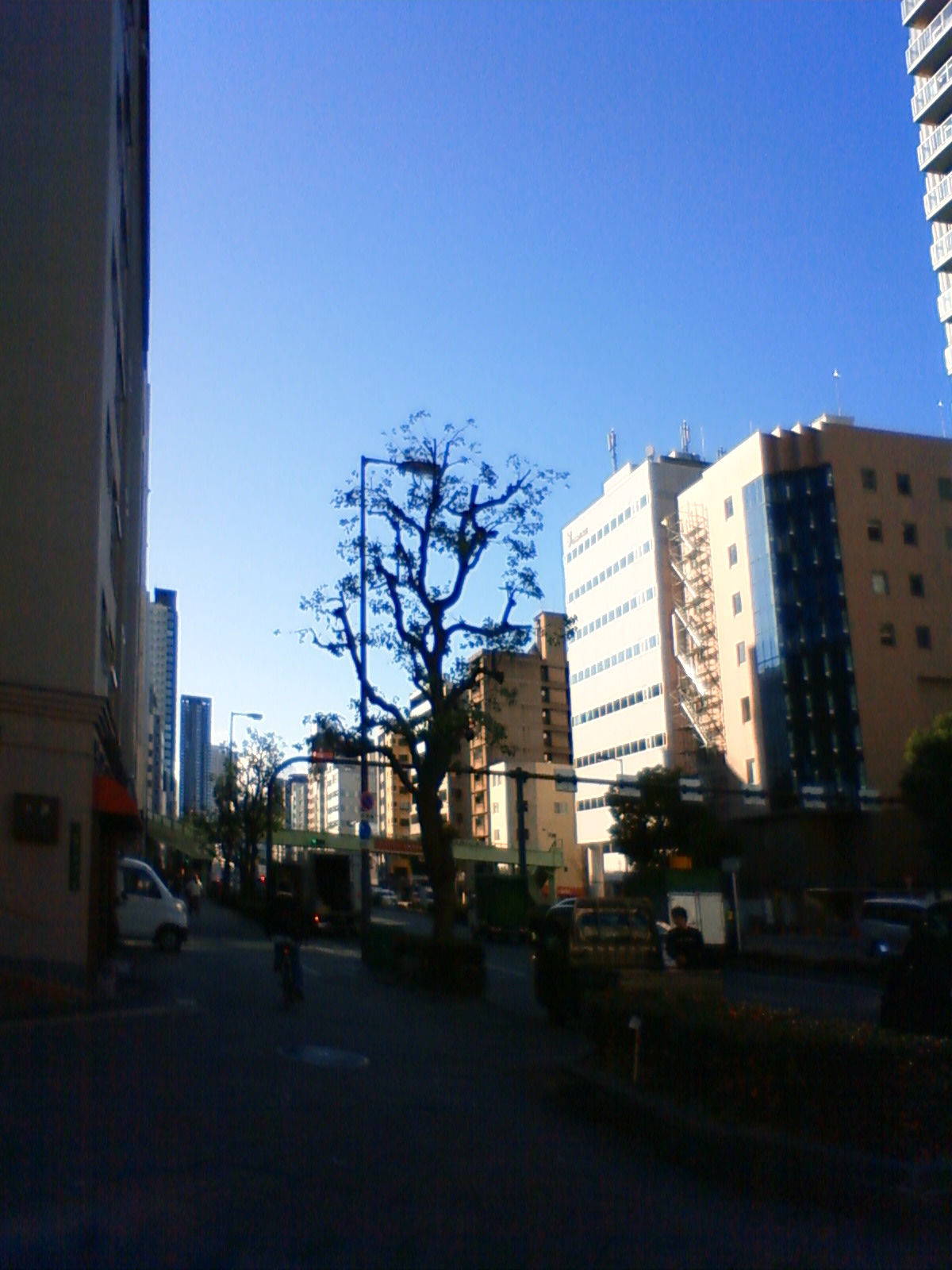 NEC_2810.JPG