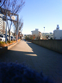 NEC_2811_thumb.png