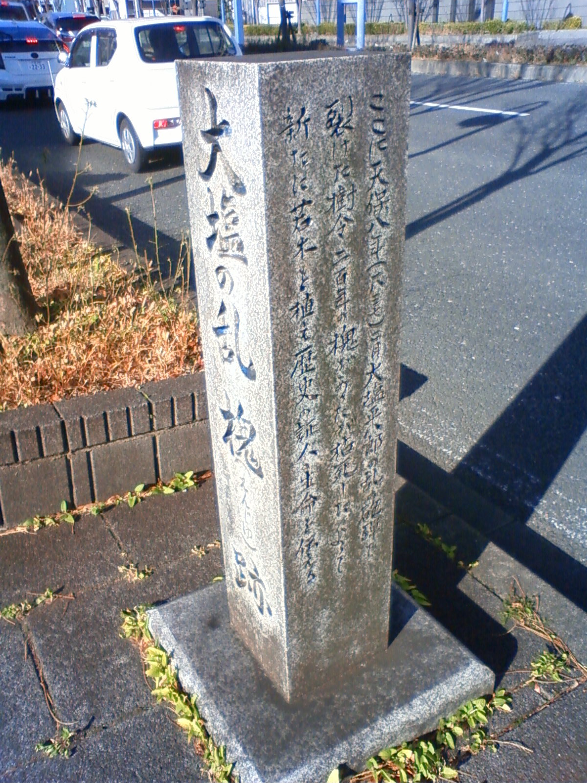 NEC_2813.JPG