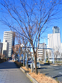 NEC_2814_thumb.png