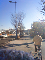 NEC_2815_thumb.png