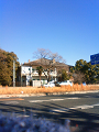 NEC_2816_thumb.png
